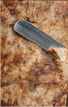 Hähnchen Hell